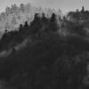 Foggy Mountain, Black & White