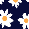 Daisy Blue