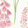 Foxglove Pink