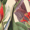 Tropic Eutopia Beige