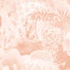 Anthozoa Peach