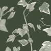 Vine Green 