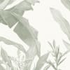 Redouté Sage Green