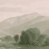 Hayfield Green