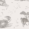 Astrology Grey