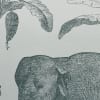 Loxodonta Teal