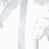 Hidden Paradise Blue