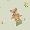 Teddy Sage