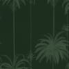 Queen Palm Green