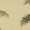 Zamia 