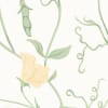 Sweet Pea Yellow