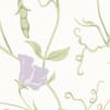 Sweet Pea Multi