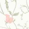 Sweet Pea Pink