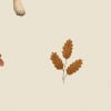 Acorn Beige