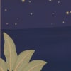Sundara Night