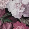 Ophelia Purple