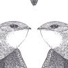 White Birds, Anthracite