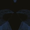 Black Birds, Indigo