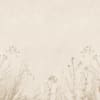 Grasslands Neutral