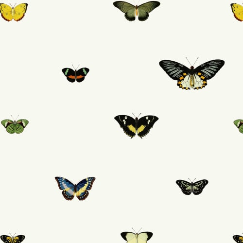 Vintage Butterfly Wallpaper Mural