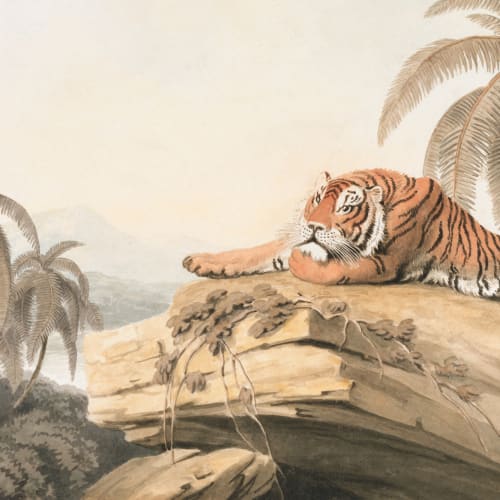 Illustrated Tropical Landscape Tiger Mural