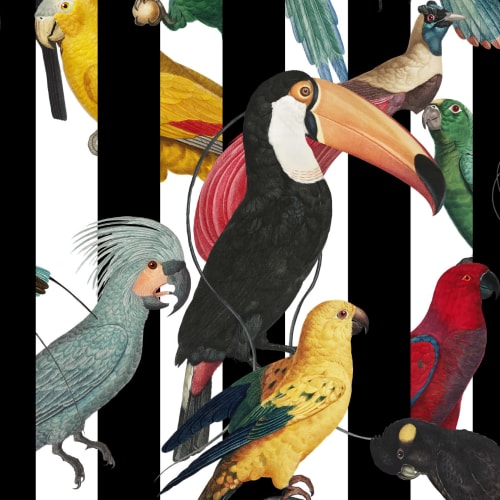 Kleurrijke Tropische Vogels & Strepen Patroon Behang Muurschildering