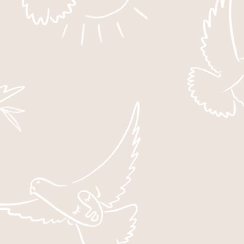 White & Beige Dove Wallpaper