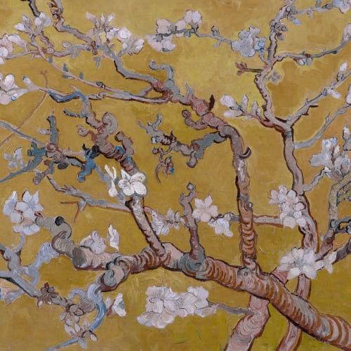 Anpassad mandelblomma av Vincent Van Gogh fototapet