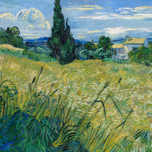 Grünes Weizenfeld mit Zypresse von Vincent Van Gogh Fototapete