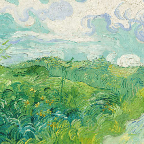 Mural de parede "Campos de trigo verdes" de Vincent van Gogh