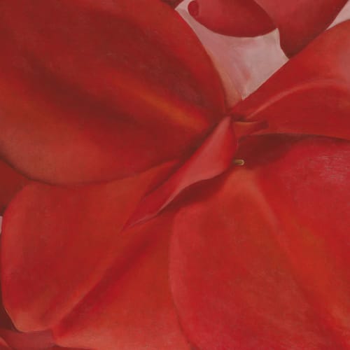Georgia O Keeffe Red Cannas Wall Mural