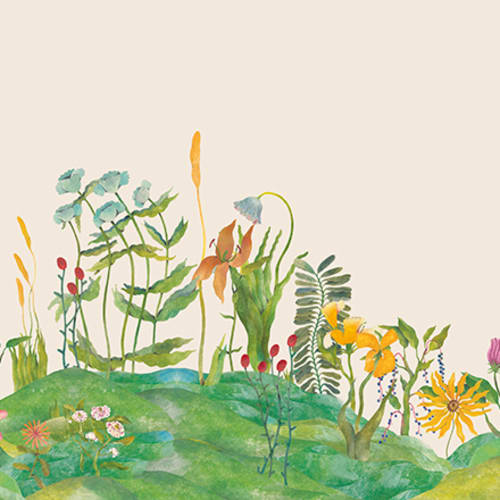 Image Floral