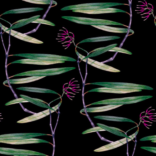 Eleganza botanica