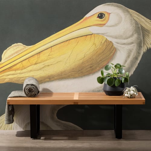 White Pelican Wallpaper Mural