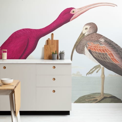 Scarlet Ibis fototapet