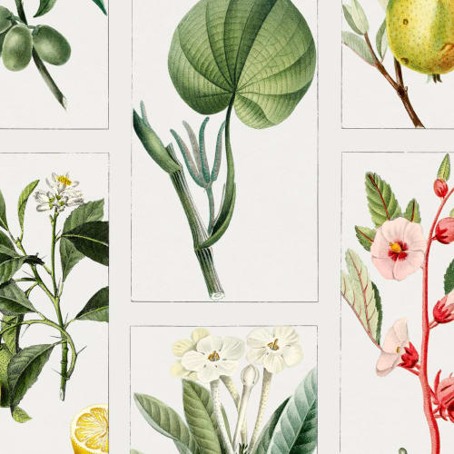 Botanical Fruits and Flowers Tile Pattern Wall Mural