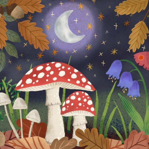 Copii ilustrate noapte Garden Mural