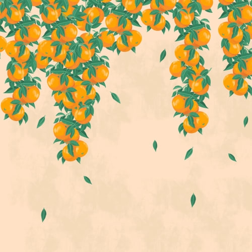 Cream & Orange Fruit Painterly Wallpaper Mural