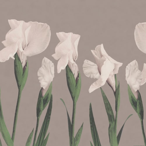 Vintage Japanese Large Flower Wallpaper Mural