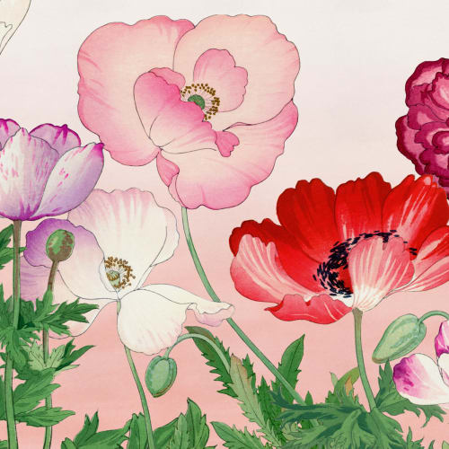Décor floral aquarelle japonaise rose coquelicot