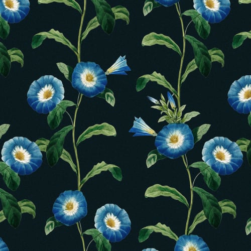Bladaktig Bright Blue Petunia Floral Bakgrunn