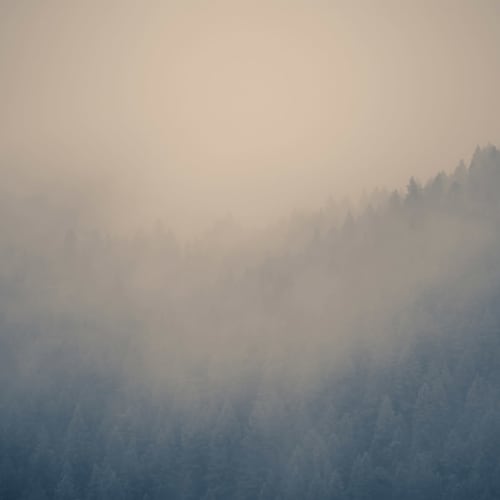 Papier Peint Panoramique A travers les nuages de la Forêt