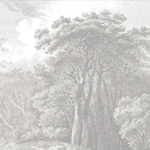 Fototapete Hellgraue Bäume Wald Radierung