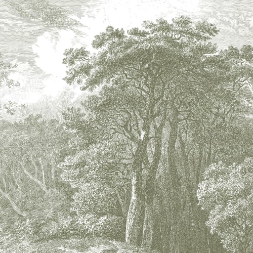 Fototapete Grüne Bäume Wald Radierung