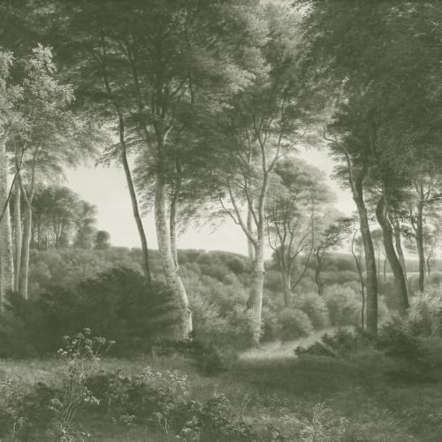 Grønn skog landskapsmaleri fototapet
