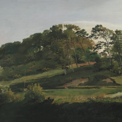 Carta da parati del paesaggio delle colline danesi