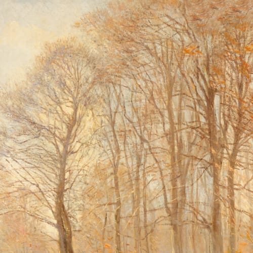 Oransje løst malt fototapet av skog