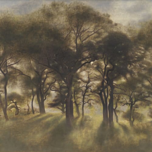 Carta da parati classica con pittura a olio della foresta nebbiosa