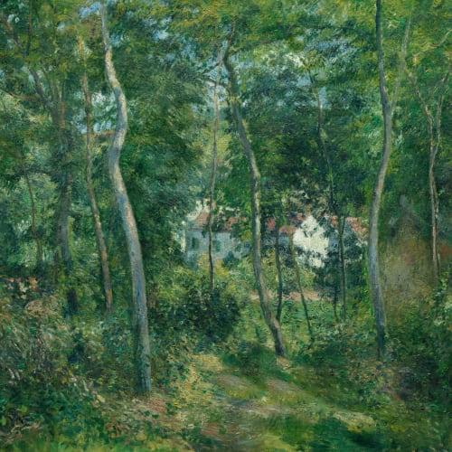 Green Wild Woodland Oil Painting Mural