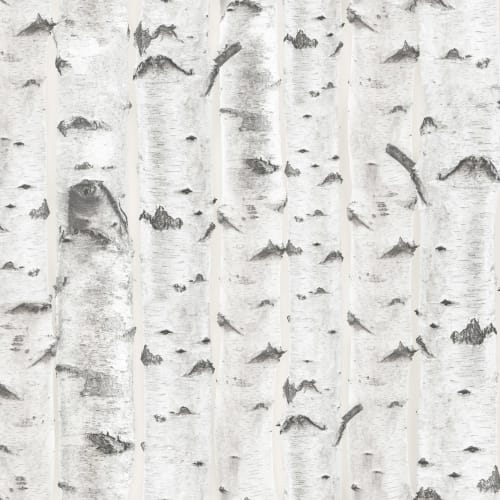 Mural de papel de parede com padrão de árvore de bétula branca e creme